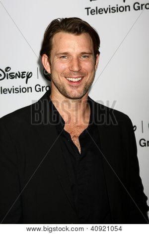 LOS ANGELES - JAN 10: Wil Traval deltar ABC TCA vintern 2013 partiet på Langham Huntington Hotel 