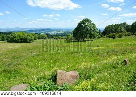 Big Tree On A Green Meadow With A Few Big Stones In The High Rhoen, Bavaria, Germany, With Blue Sky 