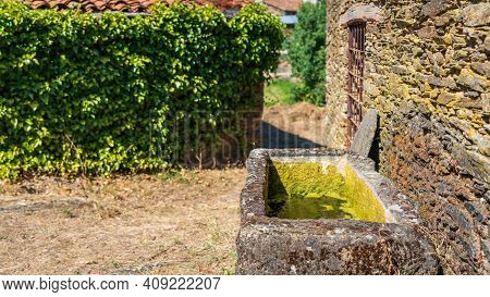 Stone Sink In The Village With Ivy In The Background
