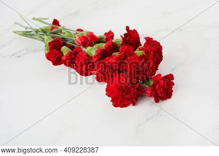 Beaytiful Carnation Flowers On Marble Background. Top View