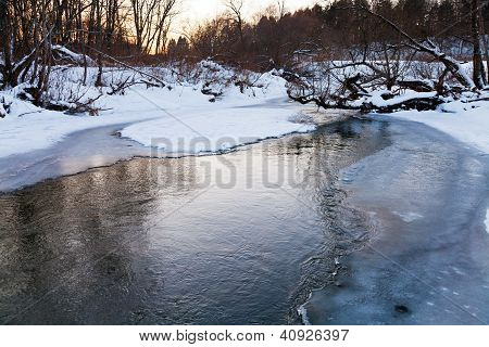森の池の氷に閉ざされた銀行