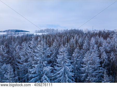 Aerial Top Down View Of Beautiful Winter Forest Treetops. Spruce Frosty Trees Covered With Snow. Win