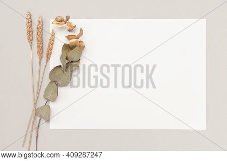 White Invitation Card Mockup With A Dried Eucalyptus And Golden Ears Decoration On A Neutral Table. 