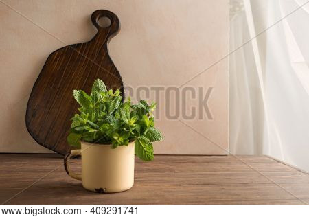 Fresh Green Mint Leaves In A Metal Cup On A Wooden Dark Background. Mentha Piperita Plant.