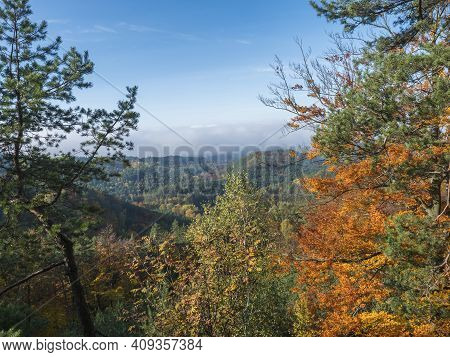 Panoramic View Of Colorful Vivid Deciduous Beech And Pine Tree Forest And Hills From Viewpoint Calle