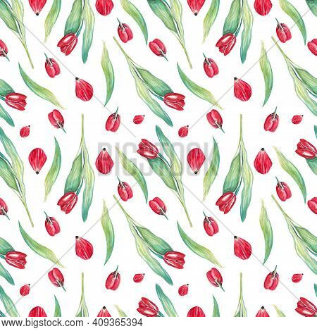 Red Tulips Seamless Pattern. Hand-painted Watercolor Illustration.