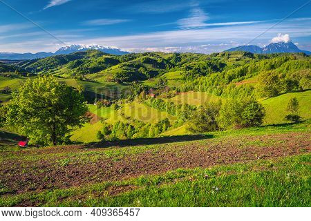Beautiful Spring Countryside Scenery With Plowed Fields And Snowy Mountains In Background, Holbav Vi
