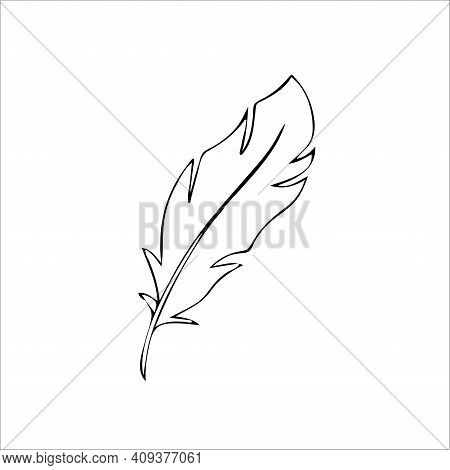 Bird Feather Hand Drawn Illustration Vector Eps