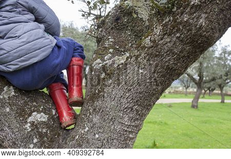 Child Boy Climbed Over Tree On Rainboots. Children Discover Nature On Winter Season