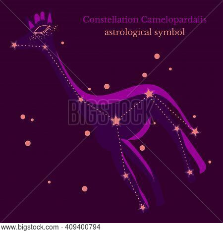 Abstract illustration of constellation Camelopardalis, connection of stars in sky, star map. Astrological symbol on dark purple background. Vector illustration for card tarot design, social groups.
