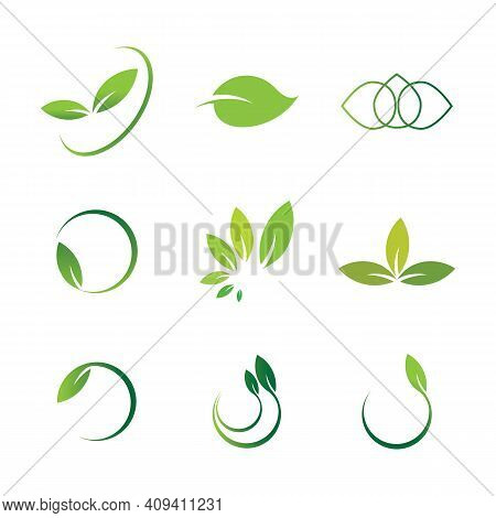 Leaf