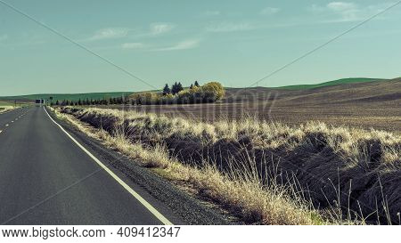 Summer Road Scene From Highway 26, Eastern Washington