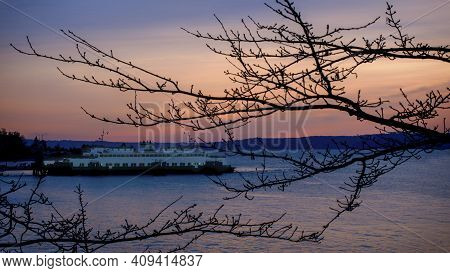 Winter Sunset Landscape With Ferry And Trees From West Seattle