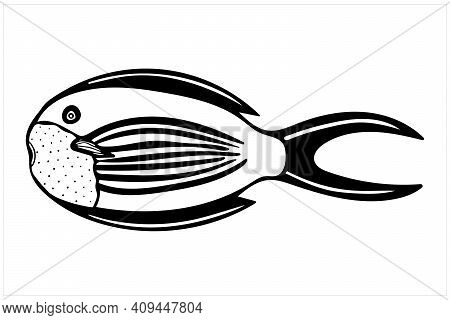 Fish, Hand Drawn Isolated Vector Illustration In Black And White