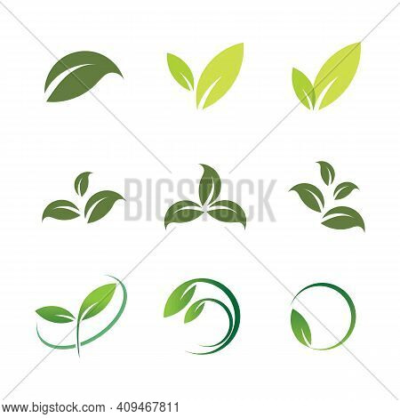 Leaf