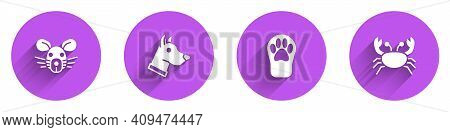 Set Rat Head, Dog, Paw Print And Crab Icon With Long Shadow. Vector