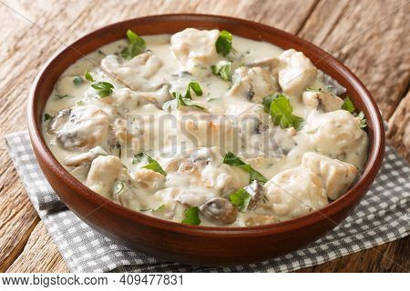 Ciulama Chicken Fricassee With White Creamy Sauce Roumanian Recipe  Closeup In The Plate On The Tabl