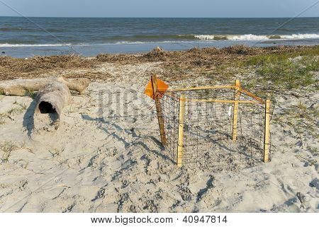 Suojattu tomppeli Turtle Nest