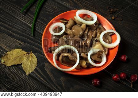 Suillus Luteus Or Boletus Luteus Mushrooms Marinated In A Plate With Spices And Onions On Vintage Ta