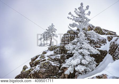 Sheregesheregesh Ski Resort In Russia. Winter Landscape, Trees In Snow And Big Stones On Top Of Moun