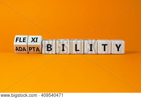 Flexibility And Adaptability Symbol. Turned Wooden Cubes And Changed Words 'adaptability' To 'flexib