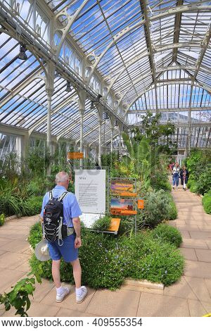 Kew, Uk - July 15, 2019: People Visit Temperate House Of Kew Gardens In Greater London. Royal Botani