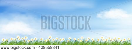 Spring Background With Blue Sky And Fluffy Clouds,natural Landscape With Cute Tiny Daisy Flowers And