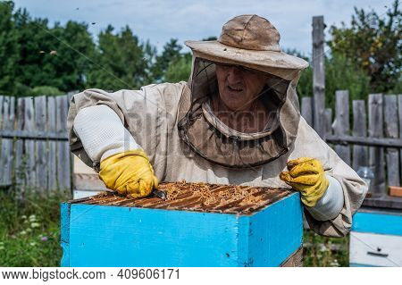 Close Up Shot Of A Beehive Being Opened With A Metallic Tool By Beekeeper.
