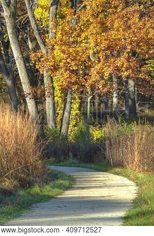 A Trail Through Oldfiiled Oaks Forest Preserve In Dupage County, Illinois Provides A Long Look At Au