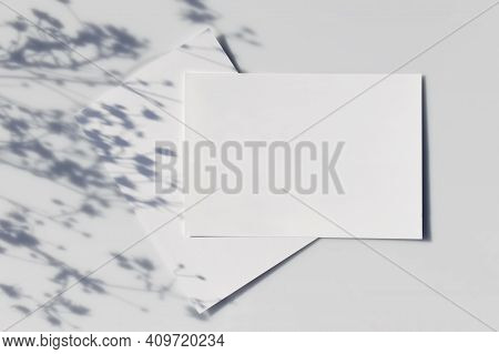 Mockup Poster Or Flyer For Presentation White Sheets Of Paper With Shadow Of A Plant On A Gray Backg