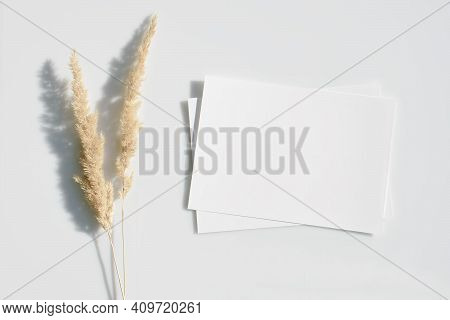 Mockup Poster Or Flyer For Presentation White Sheets Of Paper With Of Two Ears And Shadow On A Gray 
