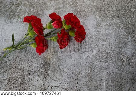 Beaytiful Carnation Flowers On Grey Background. Top View
