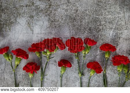 Beaytiful Carnation Flowers On Grey Background. Top View
