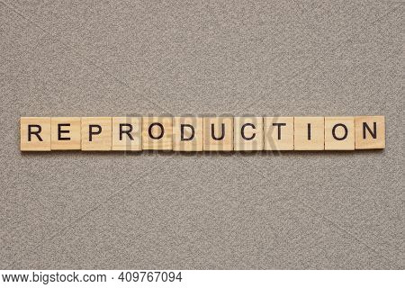 Text Word Reproduction Image & Photo (Free Trial) | Bigstock