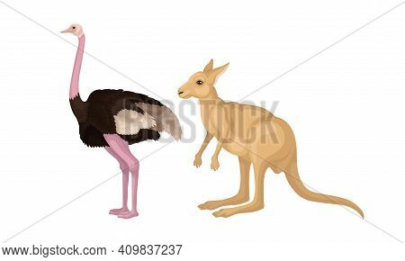 Emu Bird With Long Neck And Kangaroo As Australian Animals Vector Set