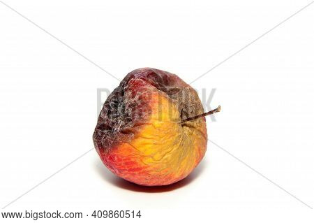 One Rotten And Uneatable Apple. Isolated On A White Background.