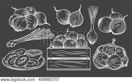 Onion Outline Drawn Monochrome Icon Set On Blackboard. White On Black Pile Of Onion Bulbs, Packed In