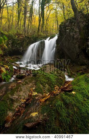 Cachoeira da floresta