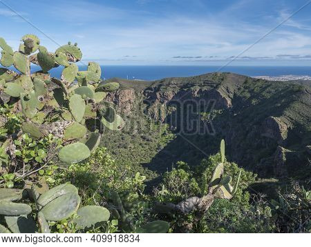 Volcanic Landscape Of Caldera De Bandama Crater With Circular Hiking Trail. Gran Canaria, Spain. Sun