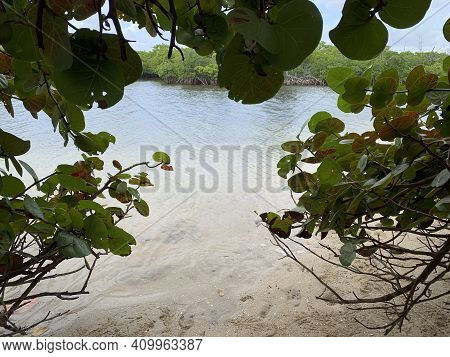 Shallow Water In ⁨dr. Von D. Mizell-eula Johnson State Park⁩