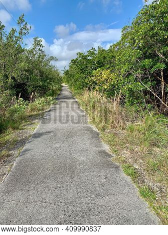 Trail In Anne Kolb Nature Center In Florida