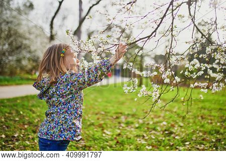 Adorable Little Girl Enjoying Nice And Sunny Spring Day Near Apple Tree In Full Bloom. Outdoor Sprin