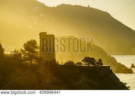 Spanish Coast With Pine Tower, Andalusia.