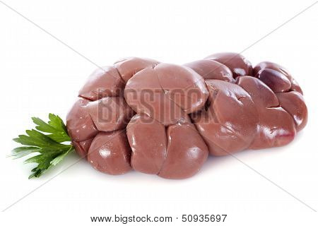 Calf Kidney