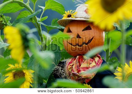 Scarecrow in the garden - Autumn harvests