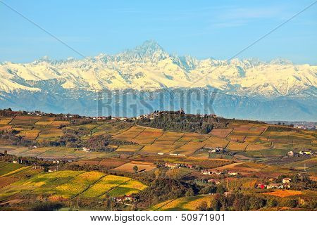 View of autumnal hills with vineyards and snowy mountain peaks on background in Piedmont, Northern Italy.