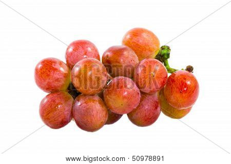 The grapes on a white background