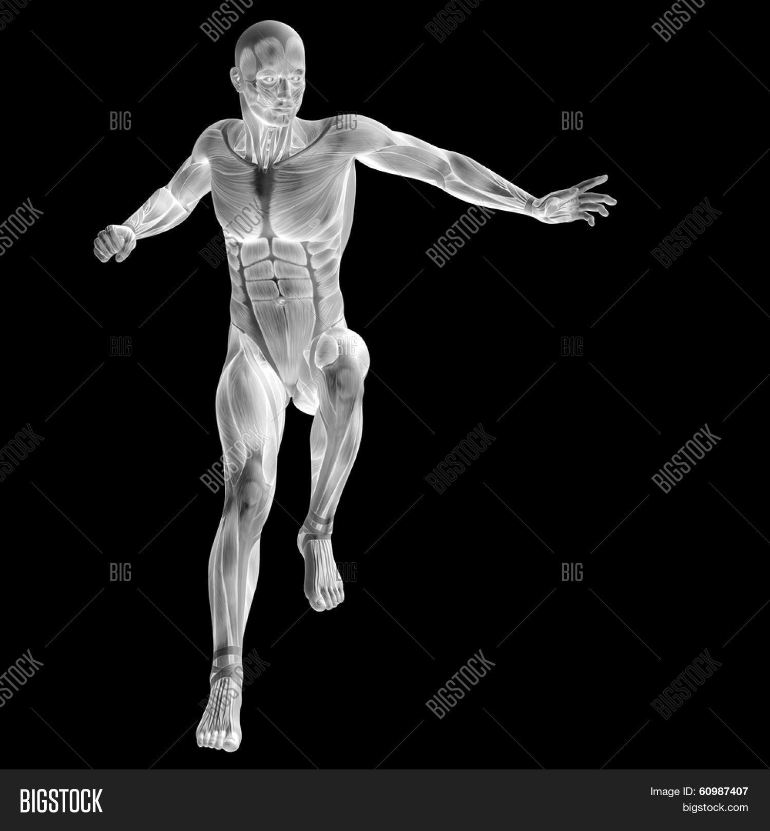 High Resolution Image & Photo (Free Trial) | Bigstock