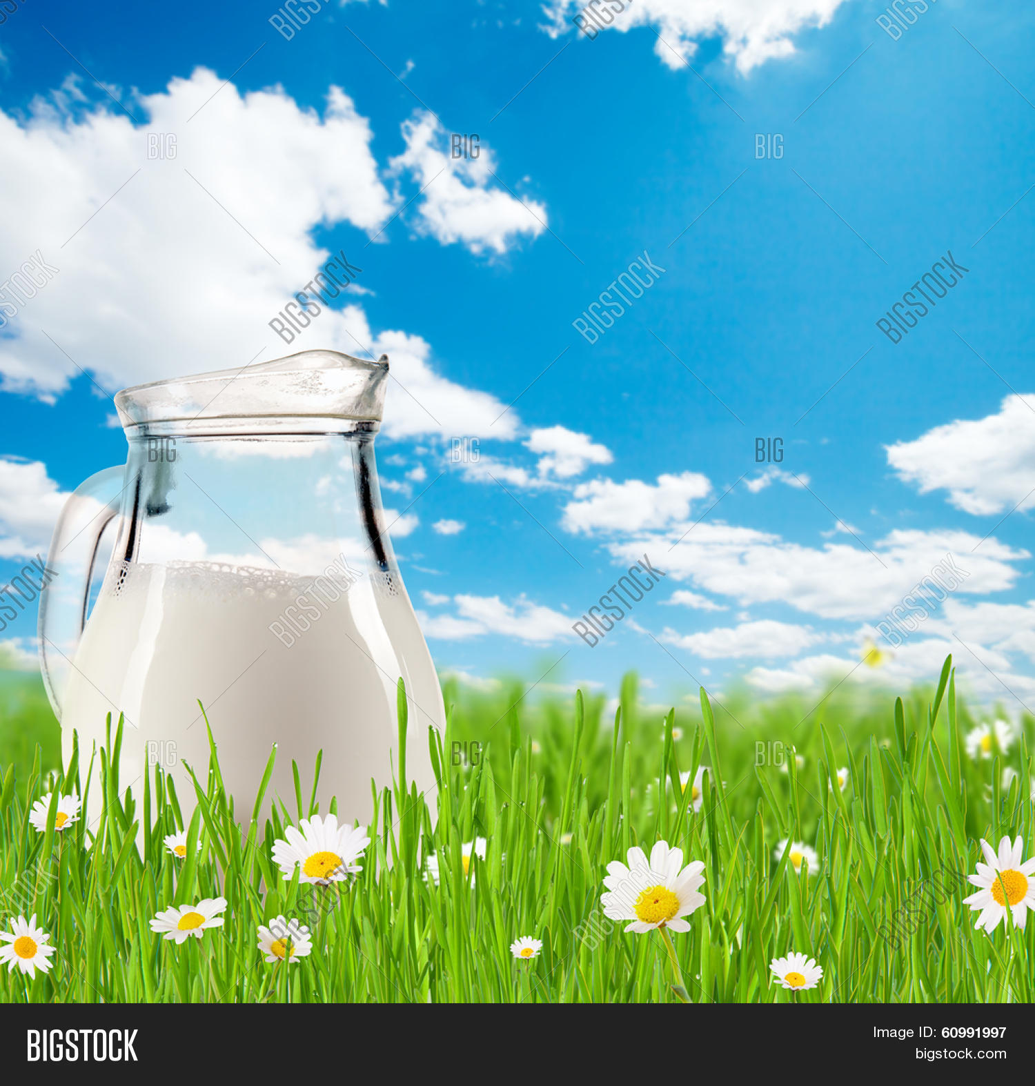 Milk Jug Full Milk Image & Photo (Free Trial) Bigstock