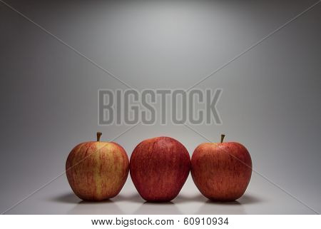 Fruit Still Life